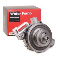 Stark SKWP-0520261 - Bomba de agua, refrigeración del motor