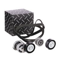 RIDEX 542R0429 - Juego de correas trapeciales poli V