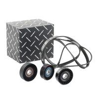 RIDEX 542R0740 - Juego de correas trapeciales poli V