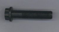 ELRING 406660 - Tornillo