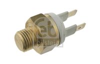 FAE 36060 - Interruptor de temperatura, ventilador del radiador