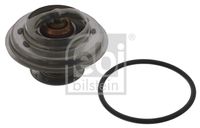 ERA 350231A - Termostato, refrigerante