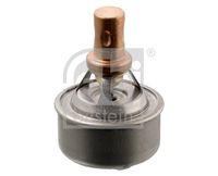 ERA 350111 - Termostato, refrigerante