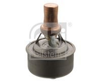ERA 350126 - Termostato, refrigerante