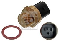 FAE 38180 - Interruptor de temperatura, ventilador del radiador