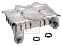 ERA 354107 - Radiador de aceite, aceite motor