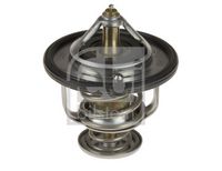 ESEN SKV 20SKV131 - Termostato, refrigerante