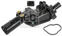 FAE 5204582 - Termostato, refrigerante