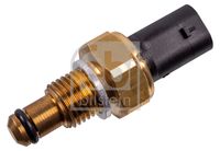 FAE 33880 - Sensor, temperatura combustible