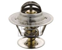 FAE 5303987 - Termostato, refrigerante