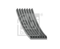 CONTINENTAL CTAM 7PK1220 - Correa trapecial poli V