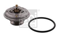 FAE 5305987 - Termostato, refrigerante