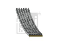 DAYCO 6PK1904 - Correa trapecial poli V