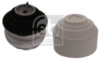 CORTECO 80004235 - Soporte, motor