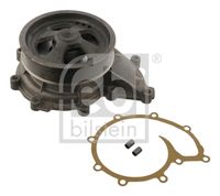 DAYCO DP081 - Bomba de agua, refrigeración del motor