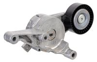 DAYCO APV2501 - Tensor de correa, correa poli V