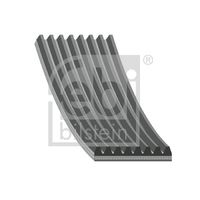 CONTINENTAL CTAM 8PK2130 - Correa trapecial poli V