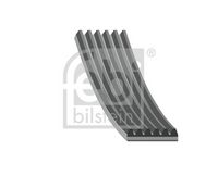DAYCO 6PK1173 - Correa trapecial poli V