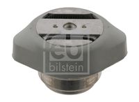 CORTECO 80001353 - Suspensión, transmisión automática
