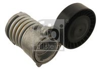 FARE SA 14282 - Brazo tensor, correa poli V