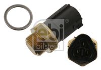 FAE 38185 - Interruptor de temperatura, ventilador del radiador