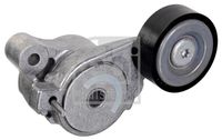 DAYCO APV2794 - Tensor de correa, correa poli V