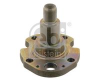FEBI BILSTEIN 30276 - Muñón de eje, cuerpo del eje