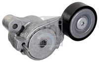 DAYCO 10A0825C - Correa trapezoidal