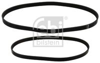 CONTINENTAL CTAM 6PK1019 ELAST T1 - Juego de correas trapeciales poli V