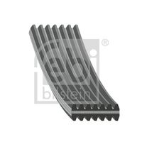 DAYCO 7DPK2074 - Correa trapecial poli V
