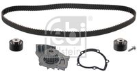 CONTINENTAL CTAM CT1037K2 - Juego de correas dentadas