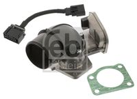 ERA 556096R - Cuerpo de mariposa
