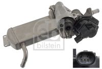 ERA 555109 - Módulo EGR