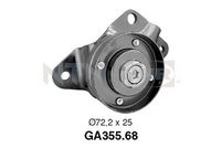 SNR GA35568 - Polea tensora, correa poli V