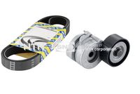 SNR CA6PK1330 - Correa trapecial poli V