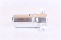 DELPHI TSP0175087 - Filtro deshidratante, aire acondicionado