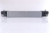 NAPA NFF2156 - Filtro combustible - NAPA