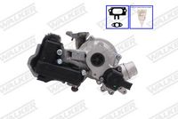 LUCAS LTRPA16319880051 - Turbocompresor, sobrealimentación - OE REMAN