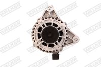 TRICLO 428847 - Rueda libre alternador