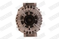 Stark SKGN0321421 - Alternador