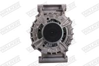 Schaeffler INA 535012810 - Rueda libre alternador
