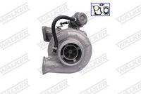 WALKER 24269 - Silenciador posterior