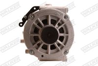 Schaeffler INA 535001610 - Rueda libre alternador