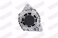 Schaeffler INA 535021610 - Rueda libre alternador