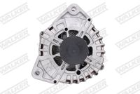 Schaeffler INA 535014010 - Rueda libre alternador
