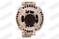 Schaeffler INA 535008410 - Rueda libre alternador
