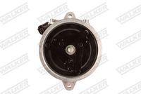 TALOSA 6112915 - Soporte, motor