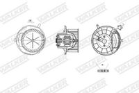 WALKER WBL01410 - Ventilador habitáculo