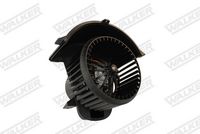 DOGA BW0110 - Ventilador habitáculo