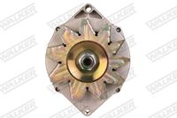 Stark SKTPT0650050 - Polea tensora, correa dentada